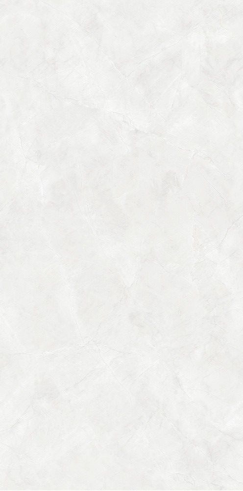 鱼肚灰产品图